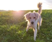 Top Schwarzenbach am Wald