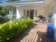 Top Franschhoek Top Franschhoek