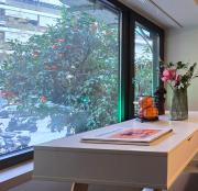 Orange Downtown Apartment