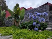 Finca La Acequia del Gamonal