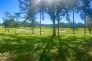 Top Palm Harbor