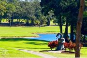 Top Palm Harbor
