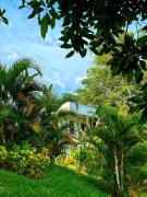 Top Montenegro Top Montenegro