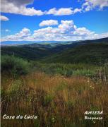 Top Bragança Top Bragança