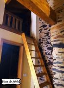 Top Bragança Top Bragança