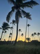 Malawi Muro Alto Flat 3 Quartos Porto de Galinhas