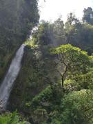 Top Turrialba Top Turrialba