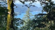 Top Chilliwack