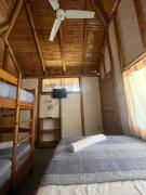 Top Los Órganos Top Los Órganos