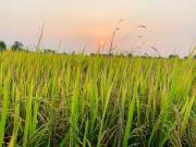 Cu Chi Boutique Countryside