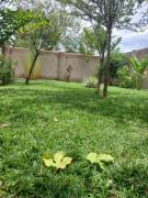 Top Livingstone