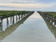 Top Saint-Germain-sur-Ay