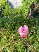 Top Onesse-et-Laharie