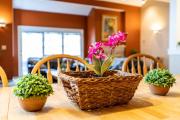 Top Cottonwood Heights