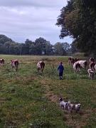 Top Neuville-lès-Decize