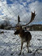 Top Nový Oldřichov