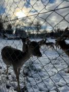 Top Nový Oldřichov