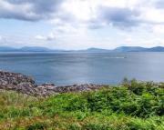 Dolphin View Lambs Head