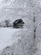 Top Wysowa-Zdrój Top Wysowa-Zdrój