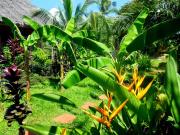 Michaels Native Homestay