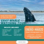 Top San Carlos Top San Carlos