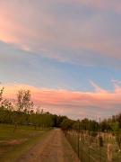 At the River Guest House