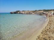 Top Arenella