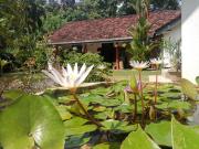 Minu Homestay & Villa