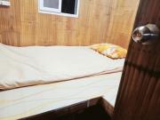 JUNGLE GYM LA Prana fan kubo 2 pax