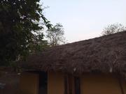 Top Meghauli Top Meghauli