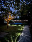 Top Balatonboglár Top Balatonboglár