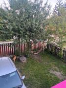 Top Neltume Top Neltume