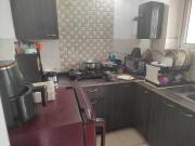 Homely stay in Noida