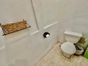 Top San Luis La Herradura