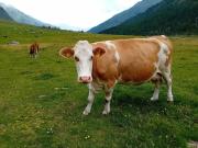 Top San Leonardo in Passiria