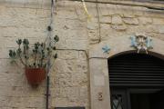 Top Giovinazzo