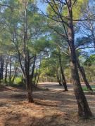 Traumhafte Wohnung mit Meerblick in Sutomore