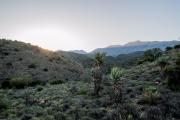 Top Calitzdorp