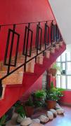 Top Tarija