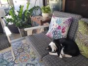 Top Ban Mae Chong