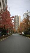 Top Guilin