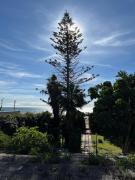 Gran Jardín frente al mar