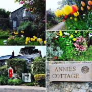 Annies Cottage - 3 miles from the iconic Minack Theatre