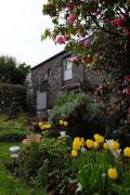 Annies Cottage - 3 miles from the iconic Minack Theatre