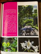 Top Pedrógão Grande