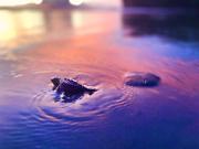 Top San Juan del Sur