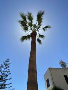 Seaside Luxury Flat in Harbour Tourist Area