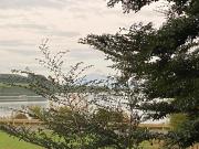 Top Llanquihue Top Llanquihue