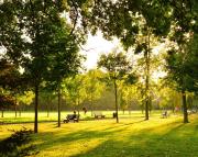 Studio neuf, Métro, Résidence protégée