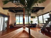 Serendipity KIKAI 喜界島